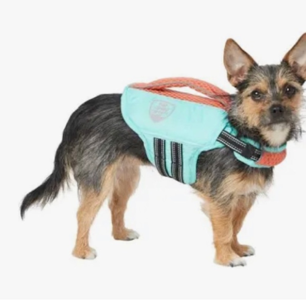 Lifeguard jacket - Picture 11 of 12